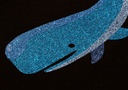 STAHLS' CAD-CUT® SportsFilm