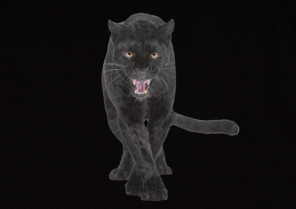 STAHLS' CAD-COLOR® Solvent Flock