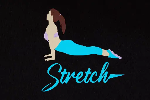 STAHLS' CAD-CUT® Premium Plus