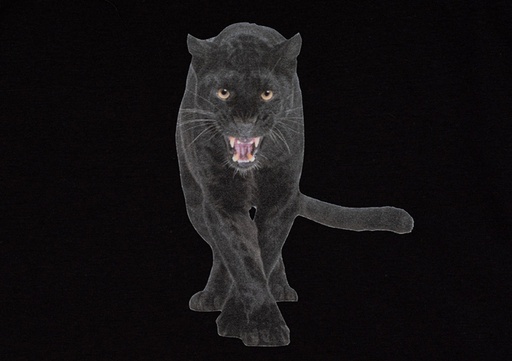 STAHLS' CAD-COLOR® Solvent Flock